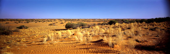 The Outback