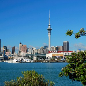 Auckland Skyline