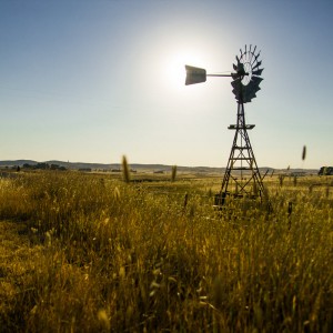 Expanse of the rural Australian outback on a sunny day