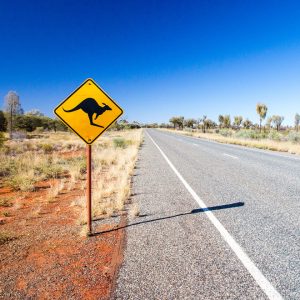 Kangaroo sign in the Australian outback