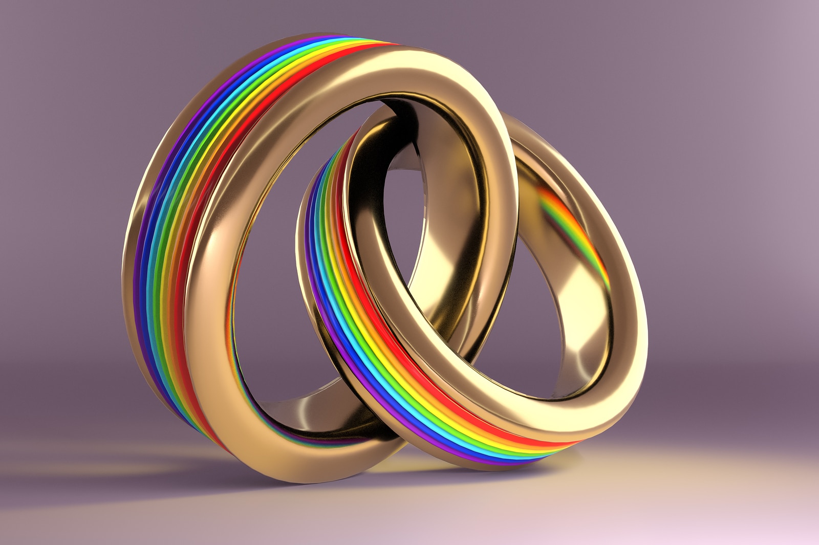 Wedding Rings symbolizing the same sex marriage